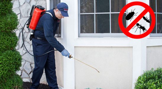 Yayladağı Fare İlaçlama böcek ilaçlama ve haşere kontrolü — ilaclama-tr.com
